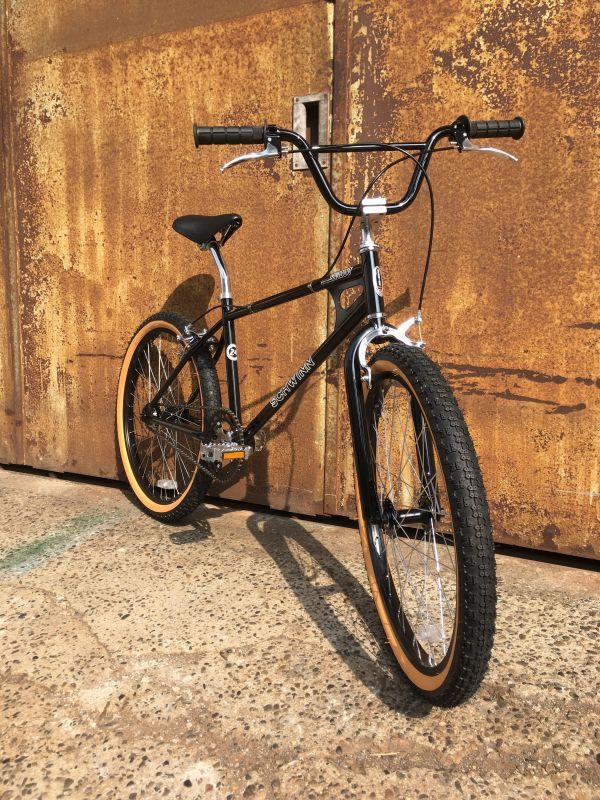 Schwinn Sx 1000 Freebird